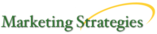 Marketing Strategies